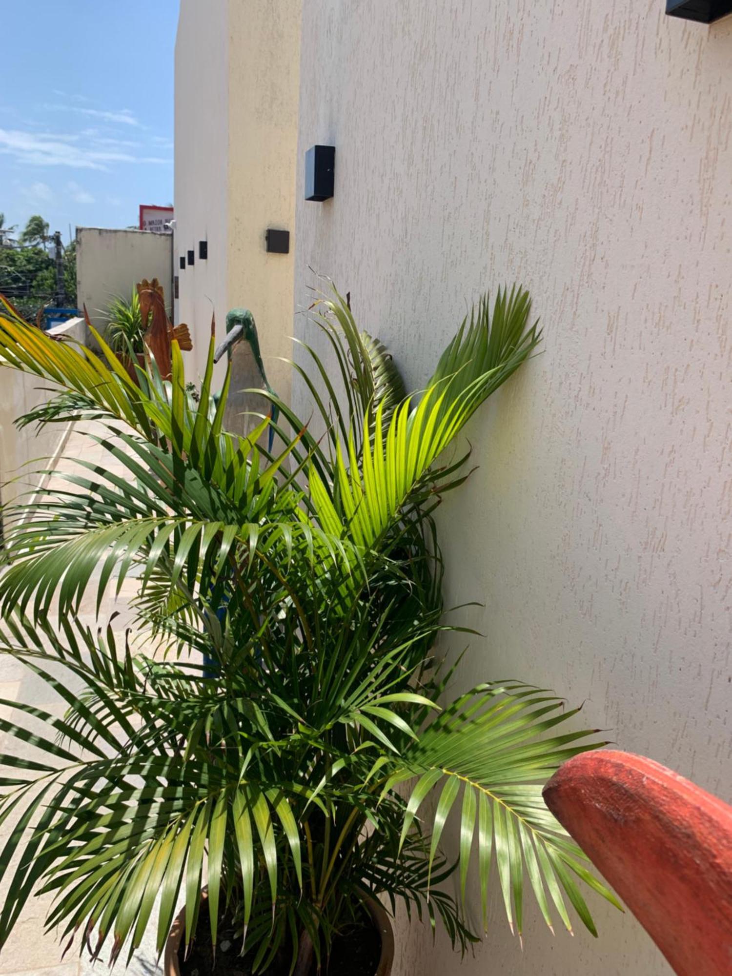 Villa Peixe Na Telha Pôrto das Galinhas Zewnętrze zdjęcie